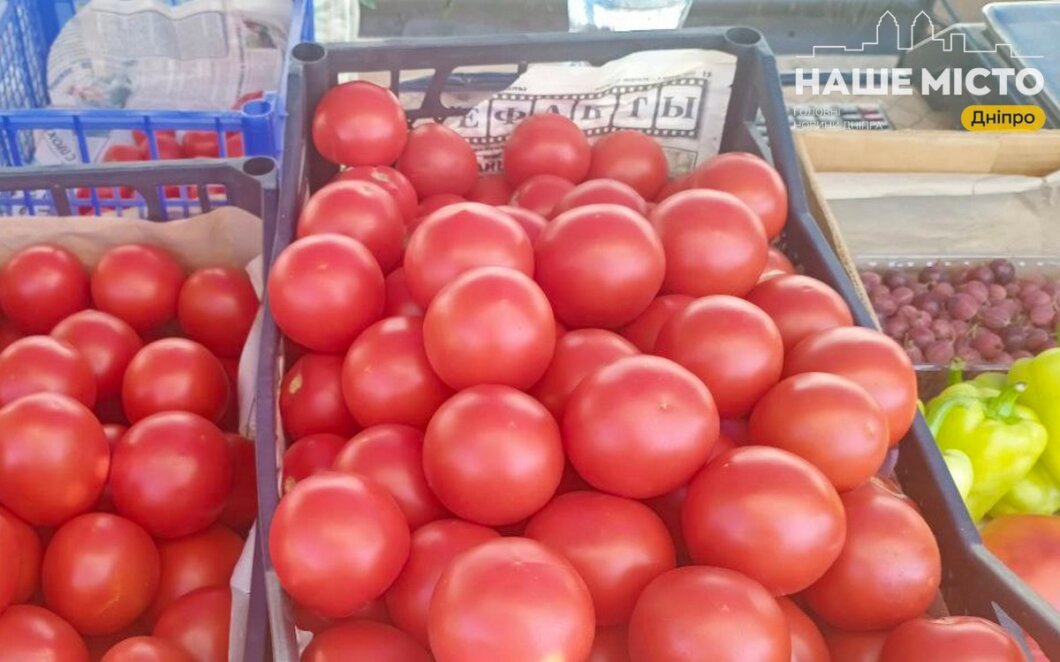 Ціни на помідори у Дніпрі червень 2024 - Наше Місто