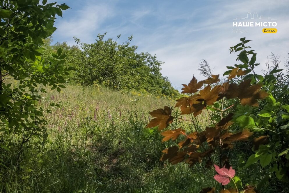 Як виглядає Тунельна балка у Дніпрі очима 9-річного фотографа - Наше Місто