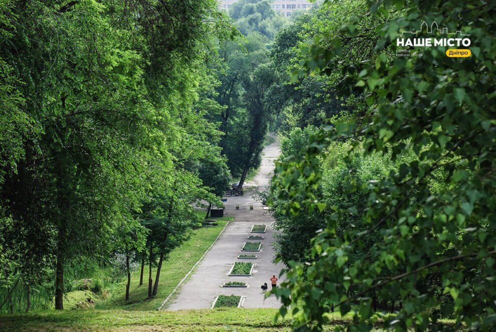 Де у центрі Дніпра можна сховатися від спеки і побути наодинці з природою - Наше Місто