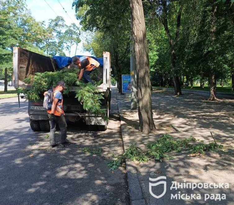 Наслідки урагану у Дніпрі 21 червня 2024 - Наше Місто