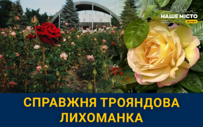Трояндова веселка: у Дніпрі розквітнув найбільший розарій у місті