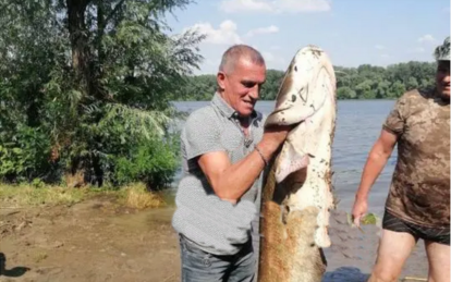 На житломасиві Перемога спіймали гігантського сома - Наше Місто