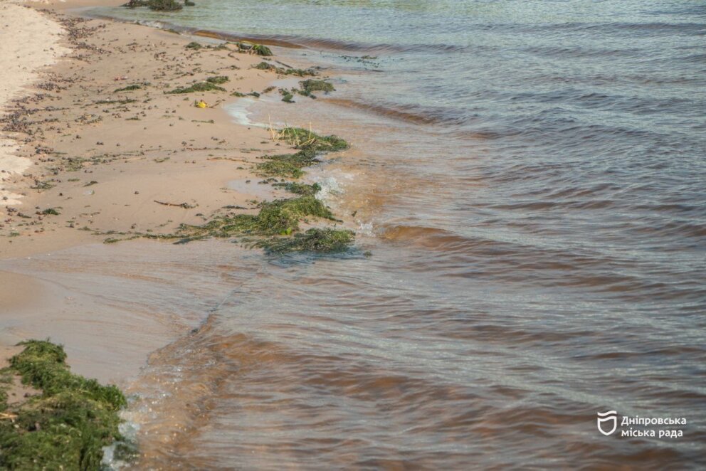 У Дніпрі перевірили якість води у річці: які результати