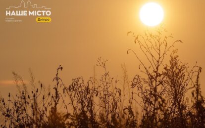 Як спека на Дніпропетровщині вплинула на урожай - Наше Місто