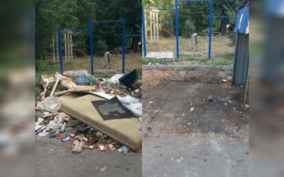 У Дніпрі продовжують видаляти аварійні дерева та прибирати сміття за заявками містян