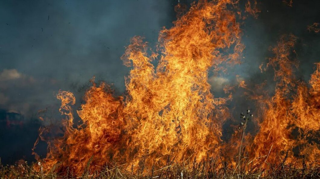Отримала 70% опіків тіла: на Дніпропетровщині жінка намагалась власноруч загасити пожежу на городі