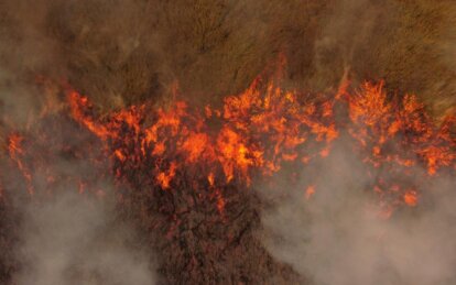 У Дніпрі та області оголосили надзвичайний рівень пожежної небезпеки