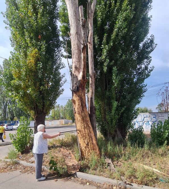 У Дніпрі продовжують встановлювати лежачих поліцейських та видаляти аварійні дерева за заявками містян