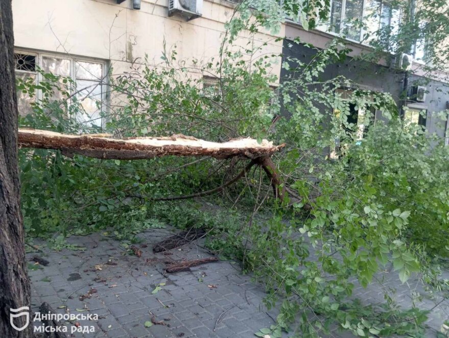 У Дніпрі через шквальний вітер комунальники працюють у посиленому режимі