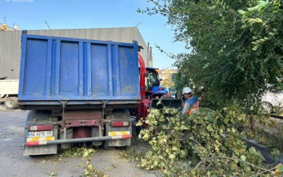 Впало дерево, куди телефонувати у Дніпрі - Наше Місто