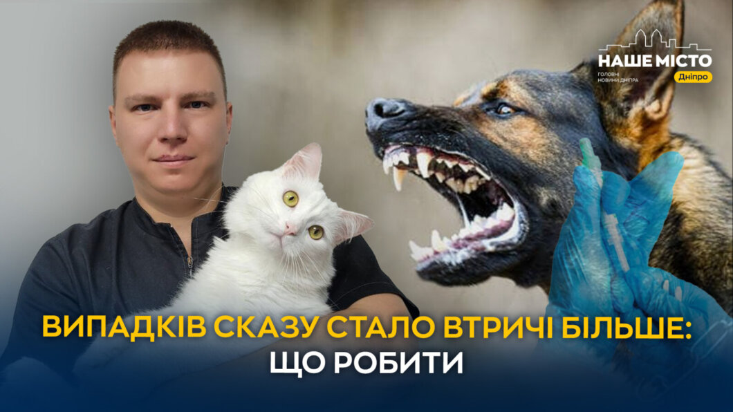 Ветеринари Дніпра б’ють тривогу через сказ: як захистити домашніх тварин