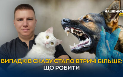 Ветеринари Дніпра б’ють тривогу через сказ: як захистити домашніх тварин