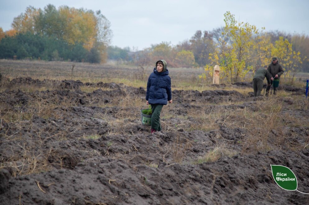 У Дніпропетровській області з’явиться новий сосновий ліс