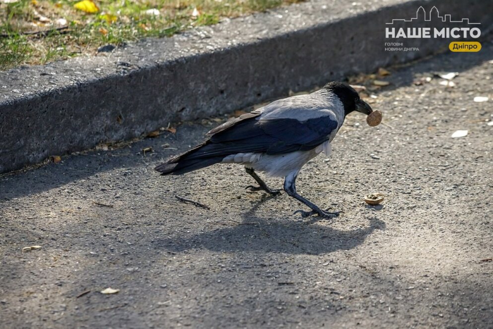 Парк Глоби у Дніпрі