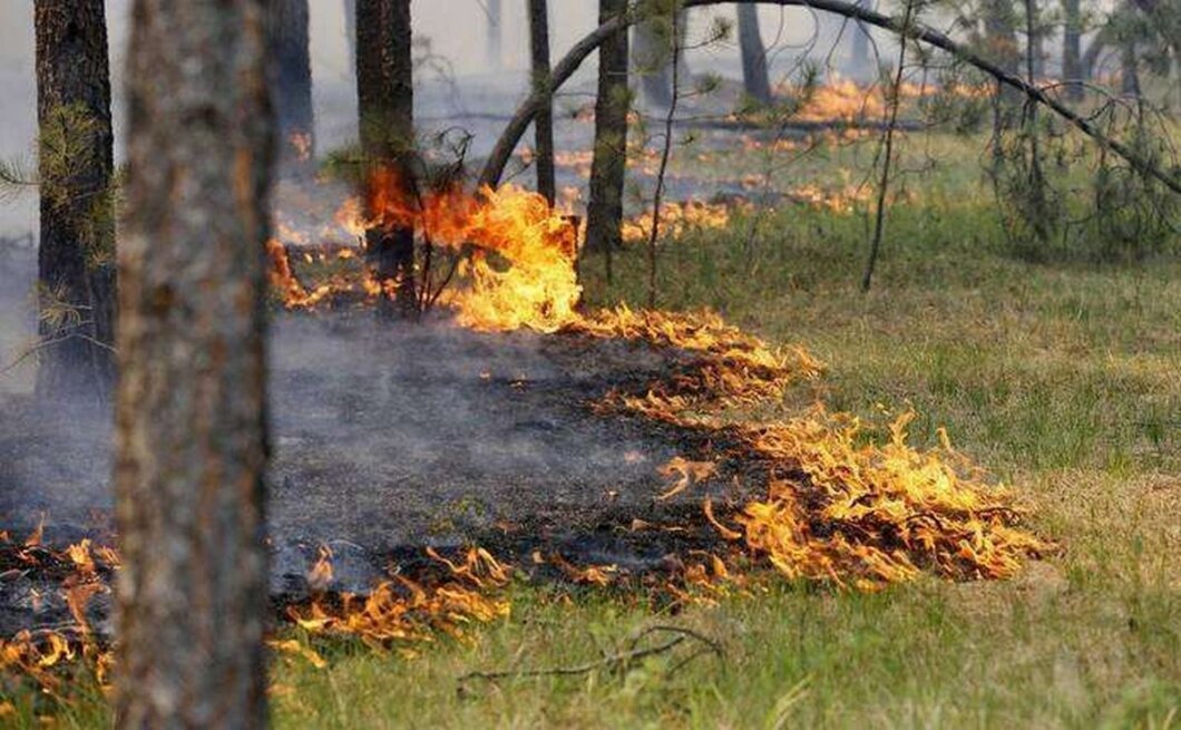 У Дніпрі та області надзвичайна пожежна небезпека