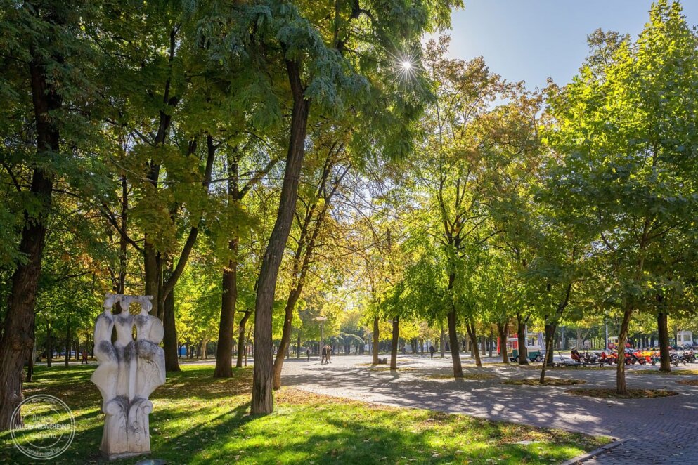 Дніпро вкрило золотаве листя: парк Глоби та сквер Героїв зачаровують осінніми барвами