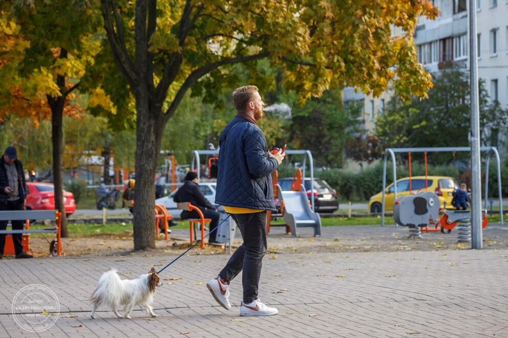 Осінь у великому місті: Дніпро засяяв яскравими барвами природи