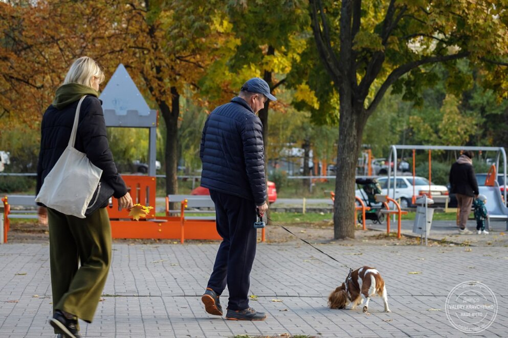 Осінь у великому місті: Дніпро засяяв яскравими барвами природи