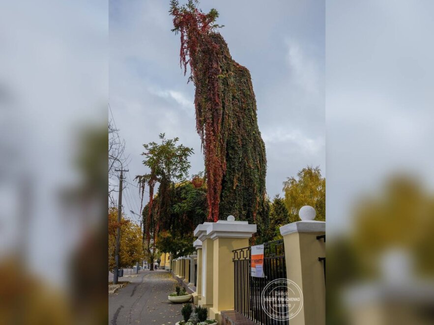 У центрі Дніпра оселився різнокольоровий "привид" (фото)