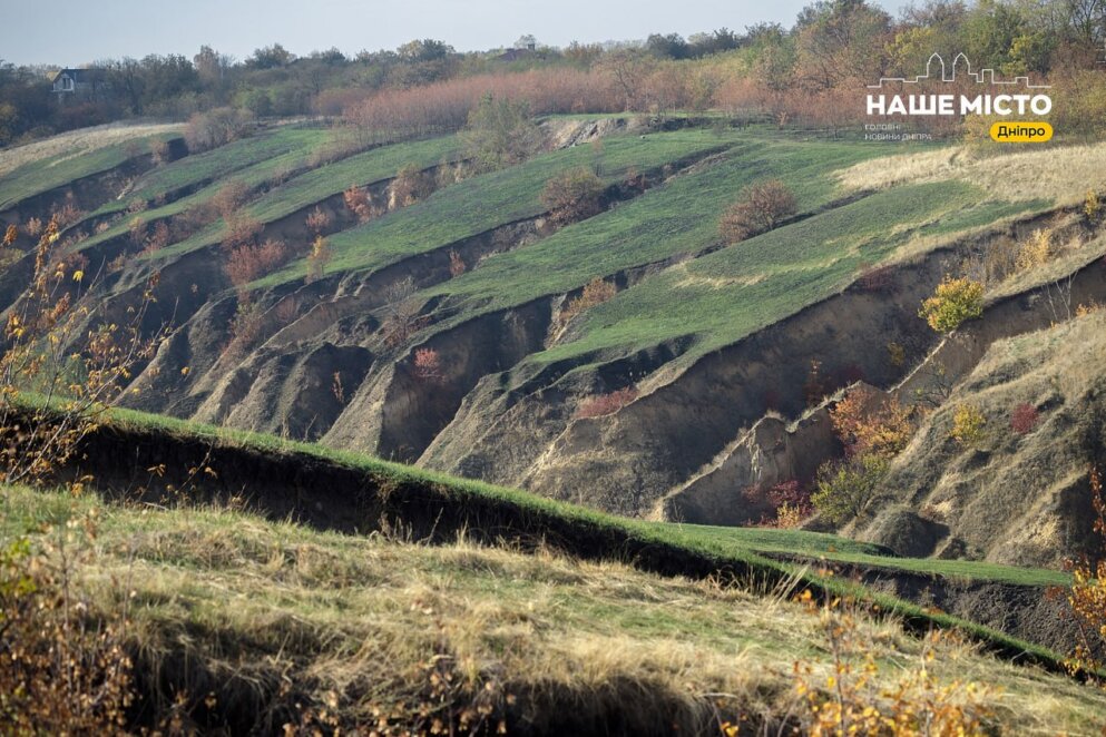 Місце сили: як виглядає унікальна Сажевська балка під Дніпром (Фото)