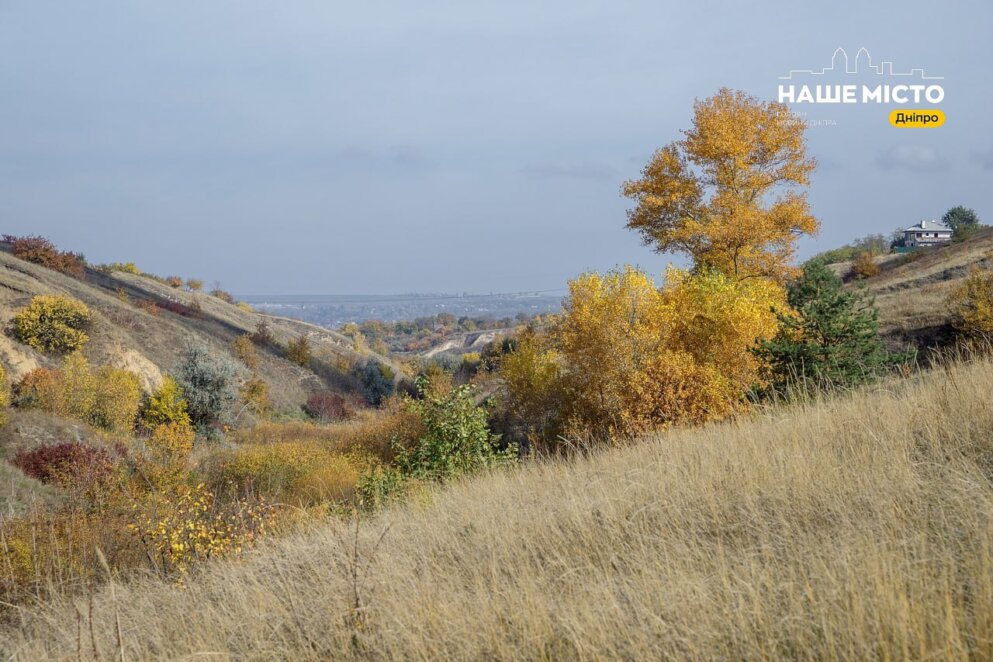 Місце сили: як виглядає унікальна Сажевська балка під Дніпром (Фото)