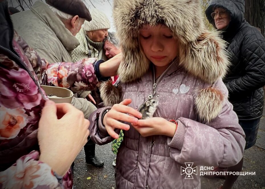 У ДСНС показали фото наслідків ракетного удару по Кривому Рогу