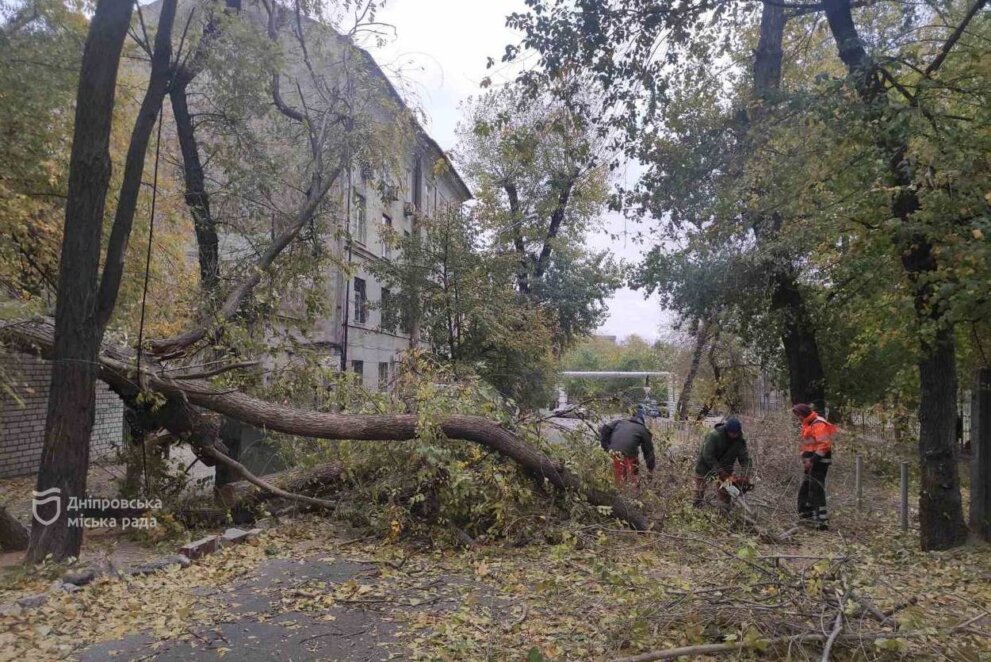 У Дніпрі через шквальний вітер комунальники працюють у посиленому режимі