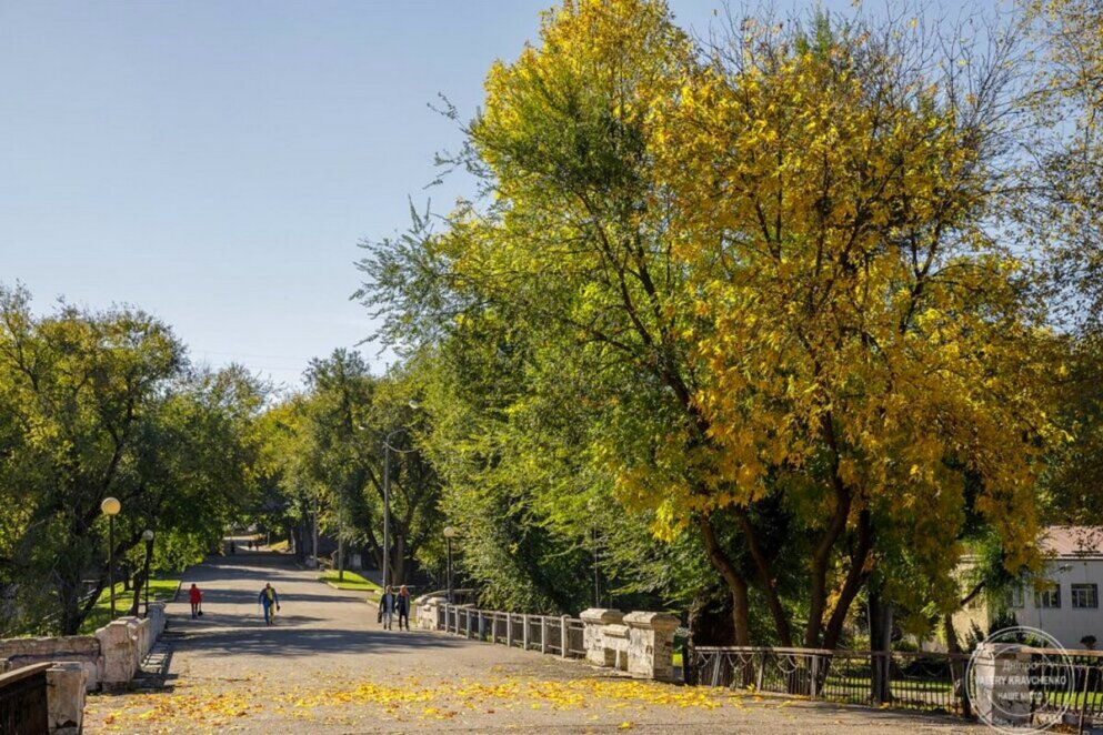 У парках Дніпра працюють безкоштовні точки Wi-Fi під час відключень світла: адреси