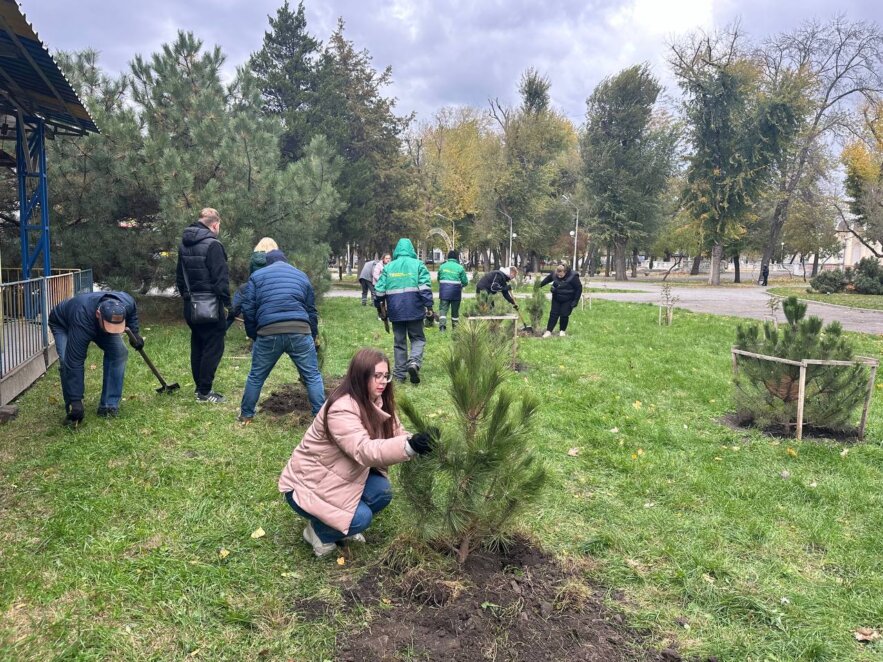 У Дніпрі в парку Лазаря Глоби з'явилася нова соснова галявина