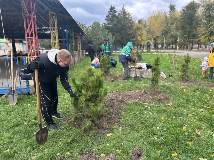 У Дніпрі в парку Лазаря Глоби з'явилася нова соснова галявина