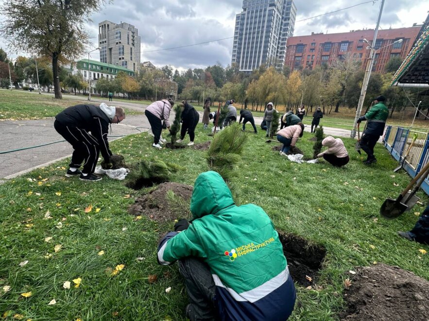 У Дніпрі в парку Лазаря Глоби з'явилася нова соснова галявина