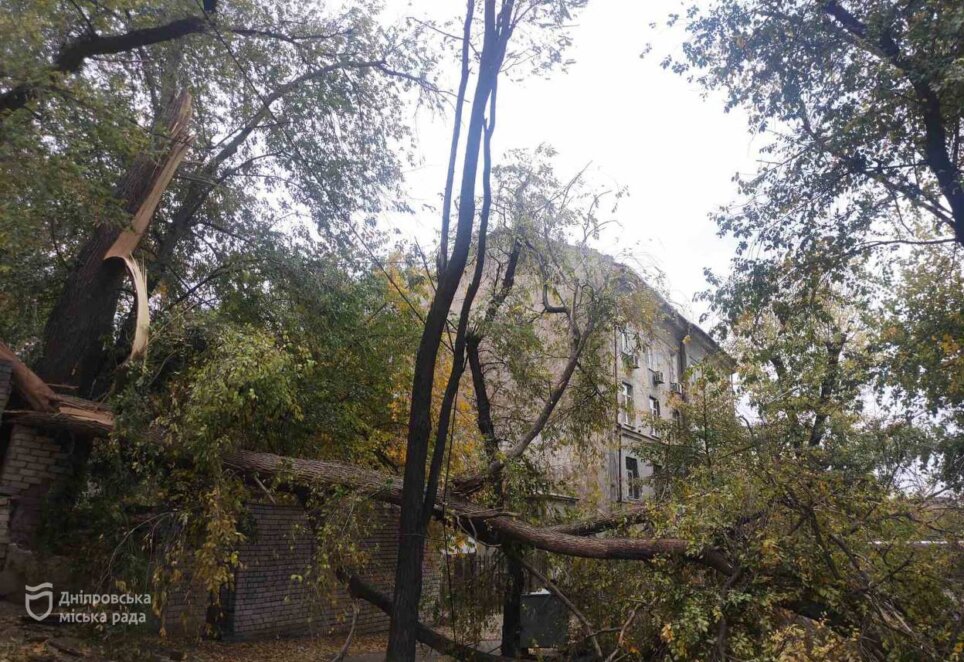 У Дніпрі через шквальний вітер комунальники працюють у посиленому режимі