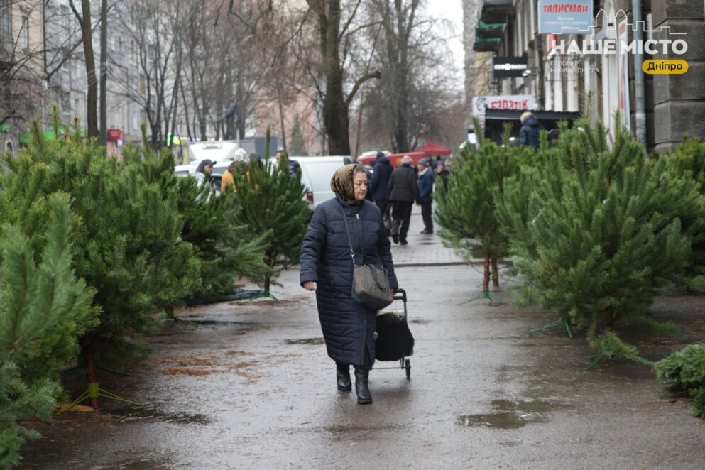 сколько стоят новогодние елки в Днепре