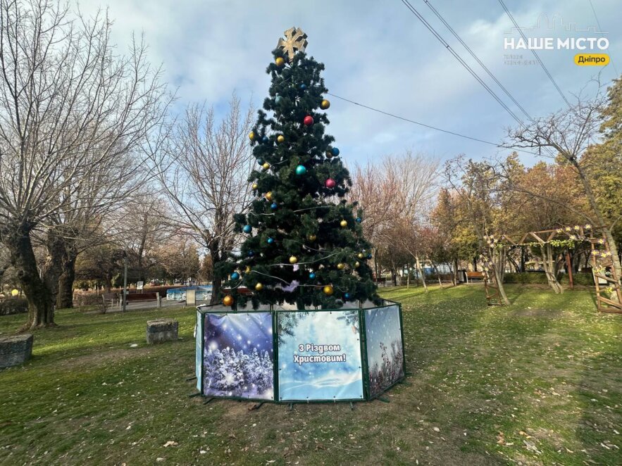 В Днепре в парке «Новокодакский» установили новогоднюю елку