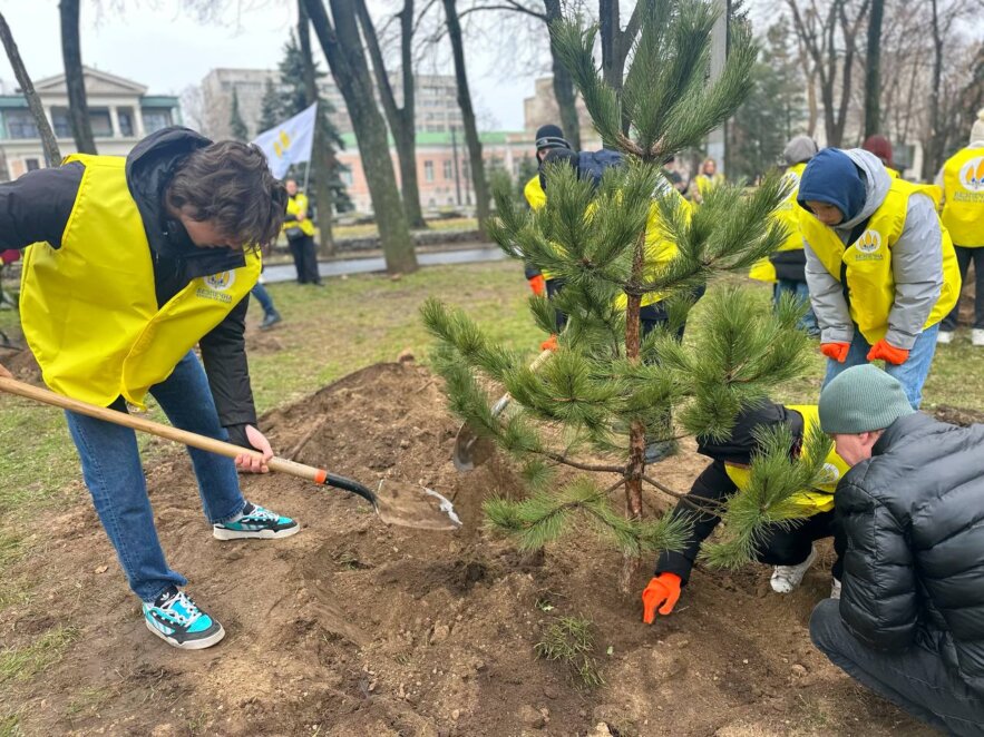 У Дніпрі у сквері Старова висадили кримські сосни