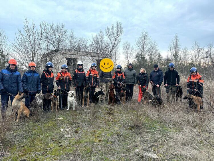 Павлоградський кінологічний загін «Антарес» шукає рятівників: як приєднатися