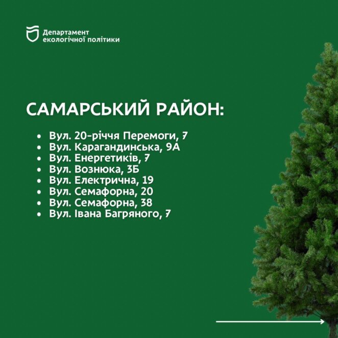 Куди здати новорічну ялинку на утилізацію у Дніпрі: адреси 