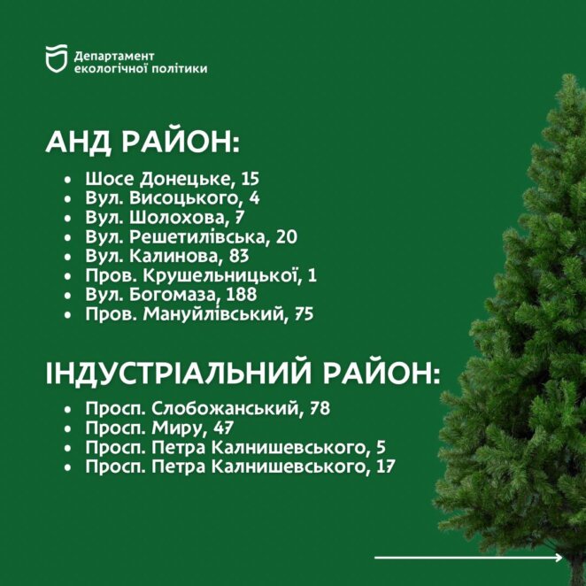 Куди здати новорічну ялинку на утилізацію у Дніпрі: адреси 