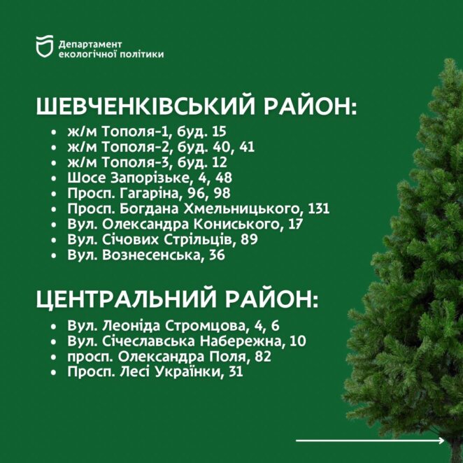 Куди здати новорічну ялинку на утилізацію у Дніпрі: адреси 