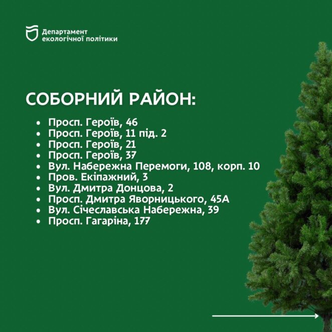 Куди здати новорічну ялинку на утилізацію у Дніпрі: адреси 