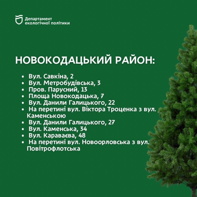 Куди здати новорічну ялинку на утилізацію у Дніпрі: адреси 