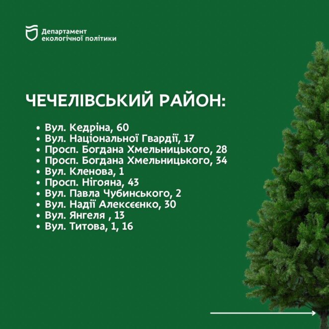 Куди здати новорічну ялинку на утилізацію у Дніпрі: адреси 