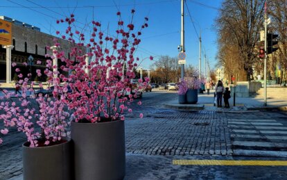 Що думають дніпряни про прикрашання міста штучними квітами, як зробили у Харкові (опитування)