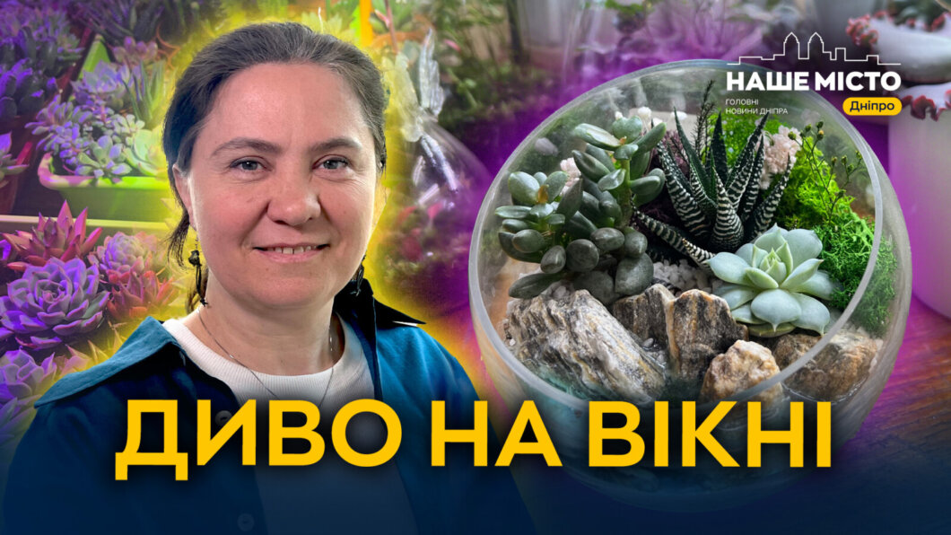 Сади в пляшках: як дніпрянка створює живі мікросвіти