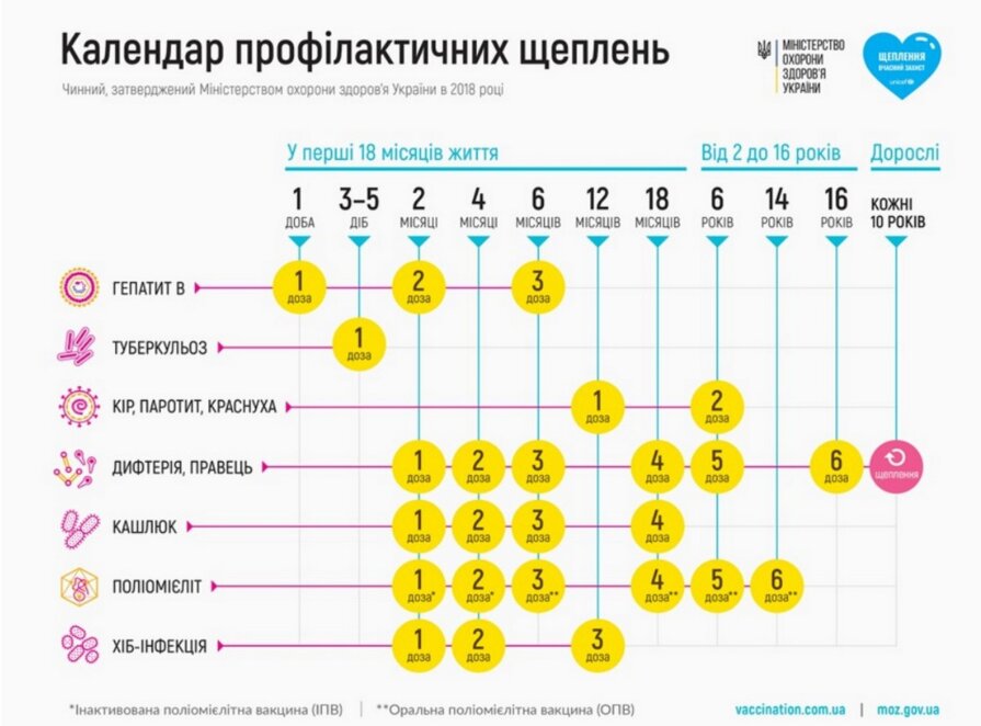 календарь щеплень