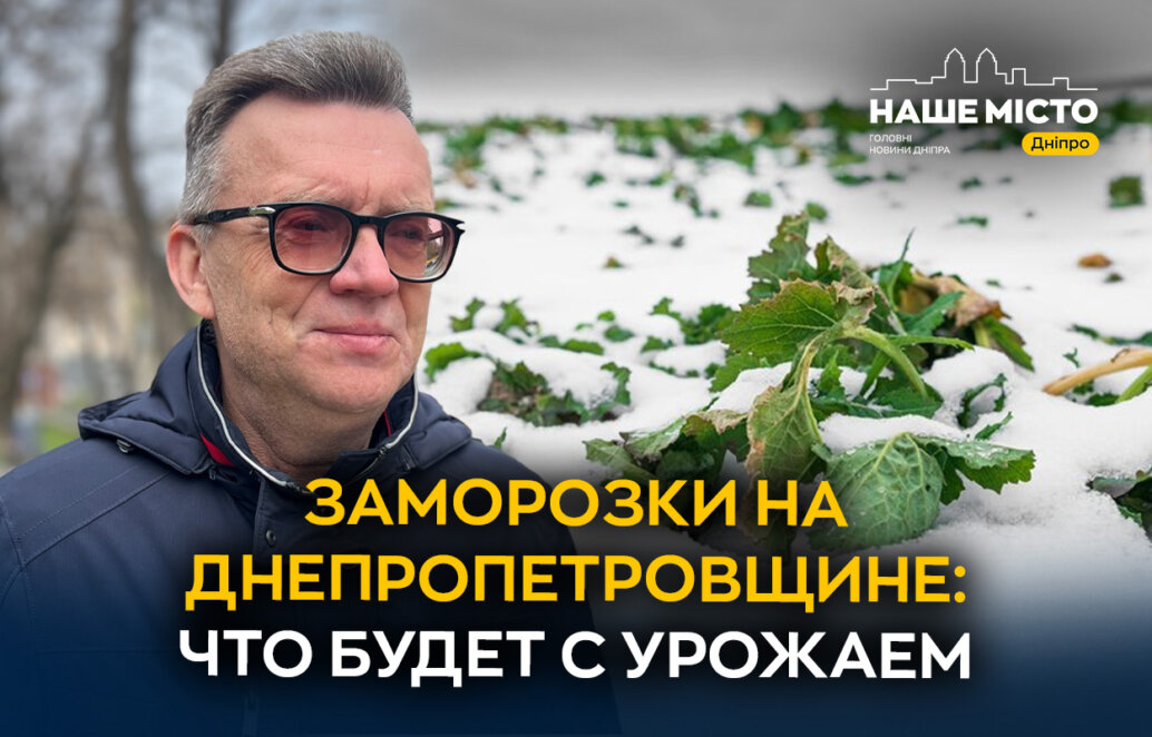 Весняні заморозки у Дніпропетровській області: що буде з урожаєм