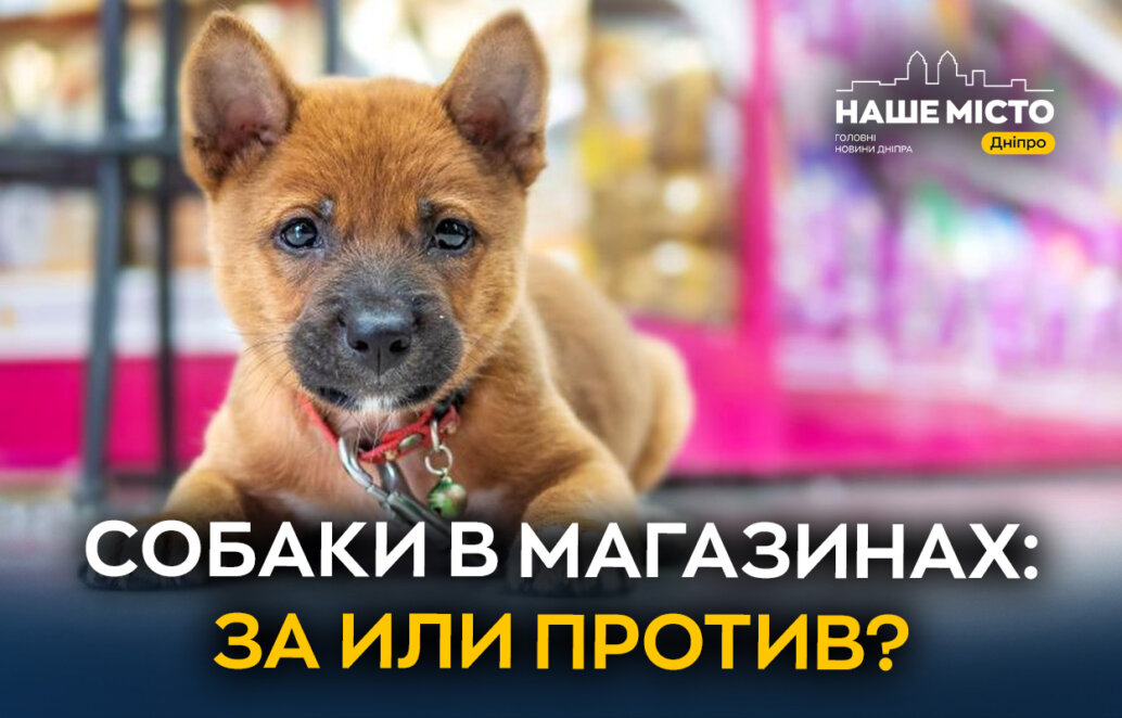 Можно ли брать собак в магазины: мнения жителей Днепра (опрос) - Наше місто