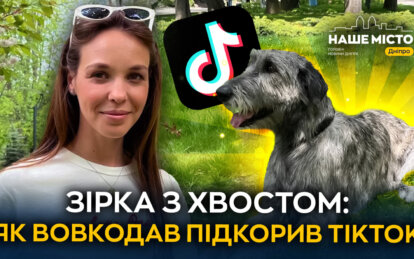 Ірландський вовкодав Луна: як собака з Дніпра стала зіркою TikTok і серцем української родини