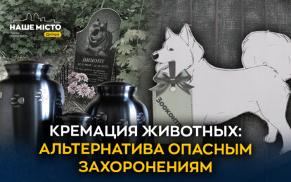 Кремация животных в Днепре: альтернатива опасным захоронениям