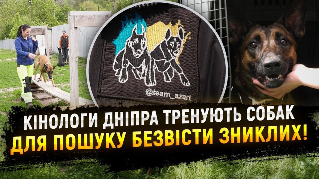Чотирилапі рятувальники: як у Дніпрі тренують пошуково-рятувальних собак для допомоги після обстрілів